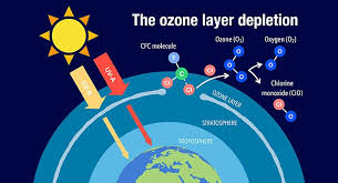 <p>What is chlorofluorocarbon?</p>