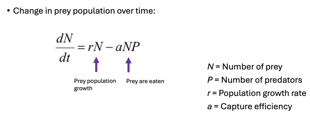 <p>For prey population… </p>