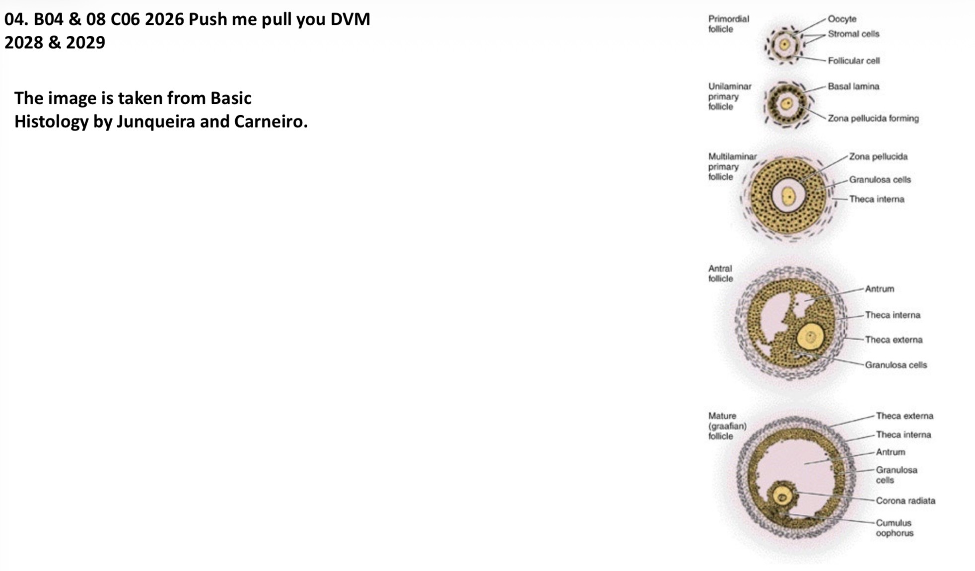 <p>Image is labeled. </p>