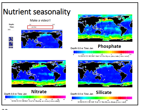 <p>patterns for nitrate, phosphate and silicate have very similar general patterns</p><p>patterns vary seasonally:</p><p>-polar regions → water is not stratified (easier mixing) and always productive nutrient-wise because the temperature is always cold. seasonality matters → no light in the winter = no productivity, light in the spring/summer → lots of productivity (especially in the spring when the sun comes where is a bunch of nutrients readily available)</p><p>-equatorial regions → water is much more stratified because the temperature is much warmer at the surface than at depth. in the winter, the surface water is cooler so it’s less stratified than in the summer when its waters are warmer</p>