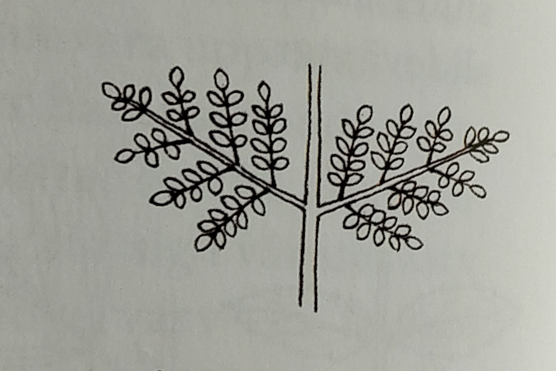 <p></p>