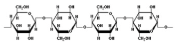 <p>what is this?</p>