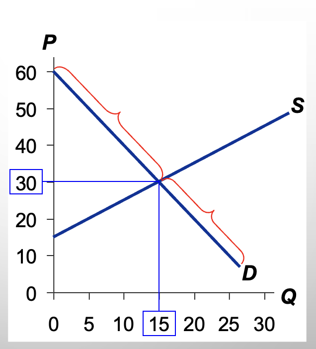 <p>WTP for Buyers who will not consume the good </p>