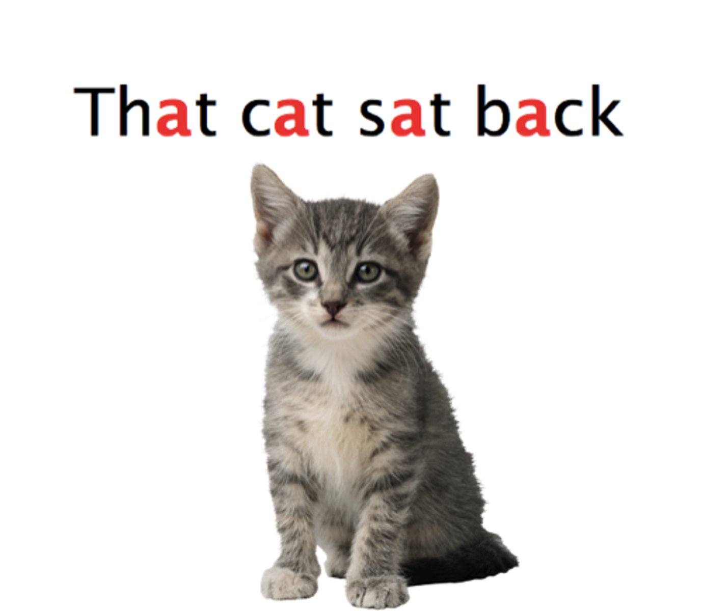 <p>repetition of vowel sounds</p>