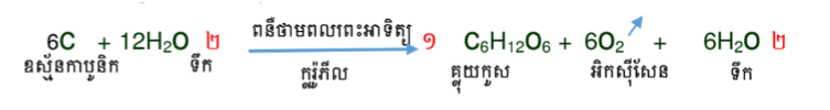 <p><span style="background-color: transparent;">ជាដំណើរការចាប់យកថាមពលពន្លឺព្រះអាទិត្យដើម្បីធ្វើរស្មីសំយោគផលិតអាហារ</span></p><p><br></p>