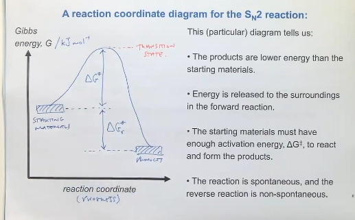 <ul><li><p>X axis (Gibbs energy, G/kJ mol-1)</p></li><li><p>Y axis (Reaction progress)</p></li><li><p>energy of reactants &amp; products (specify the structure of these), and energy between these (DeltaGr)</p></li><li><p>energy barrier deltaG* (to pass through the transition state, and reach the products) - energy maxima</p></li><li><p>intermediate state (species in between multiple elementary steps)</p></li></ul><p></p>