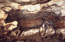 <p>Lascaux </p>