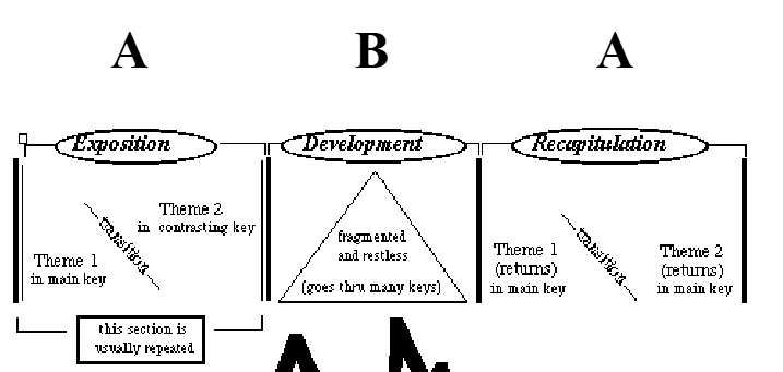 <p>contains 3 main sections: exposition, development, and recapitulation</p><ul><li><p>exposition usually contains 2 separate themes separated by an unstable transition</p><ul><li><p>large scale form is ABA</p></li></ul></li></ul><p></p>