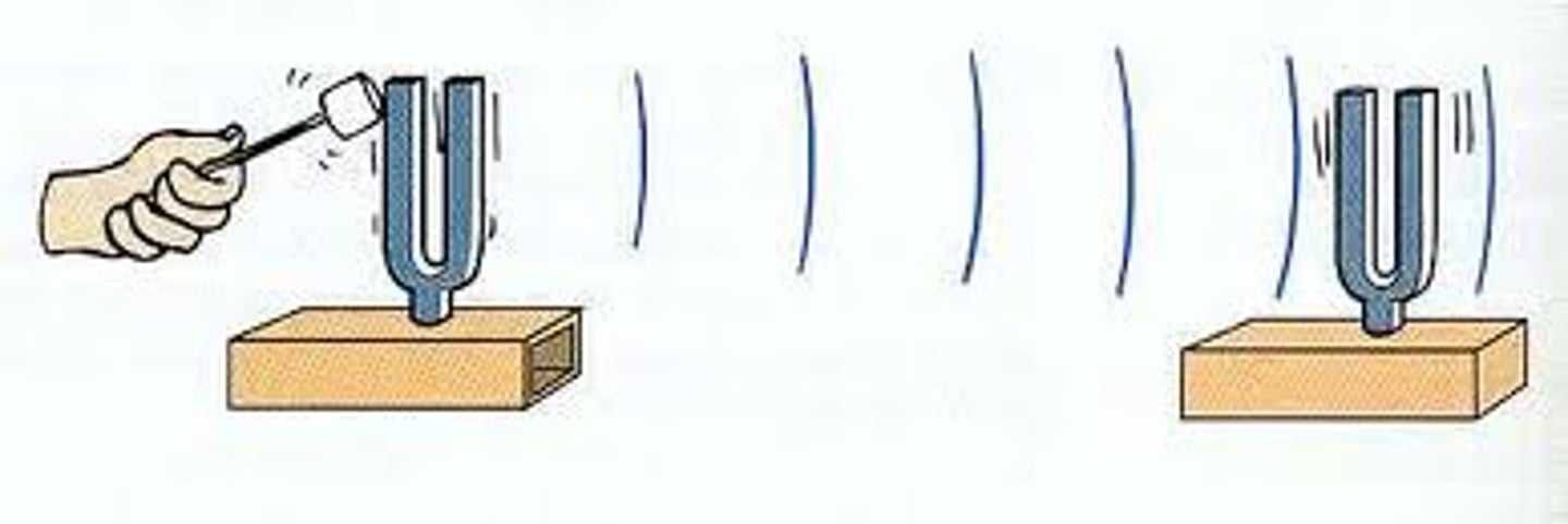 <p>A phenomenon that occurs when two objects naturally vibrate at the same frequency</p>