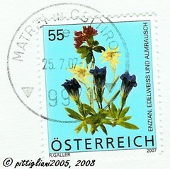 <p>postage stamp</p>