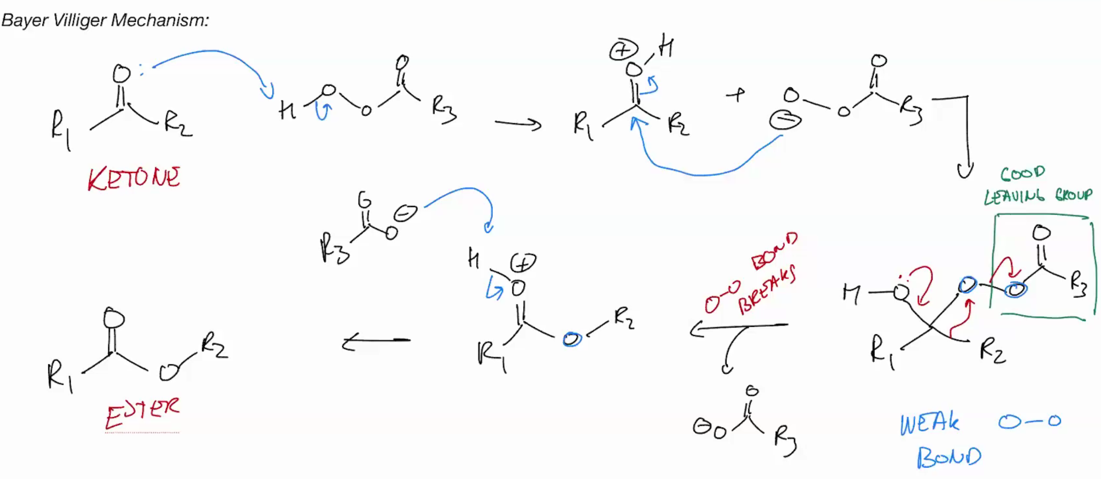<p>Bayer Villiger (KETONE TO ESTER) rearrange (return ketone to oxycarbenium)</p>