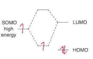 <p>The SOMO is higher energy, so is closer in energy to the LUMO. The radical therefore reacts with the low energy LUMO of the most electron poor site.</p>