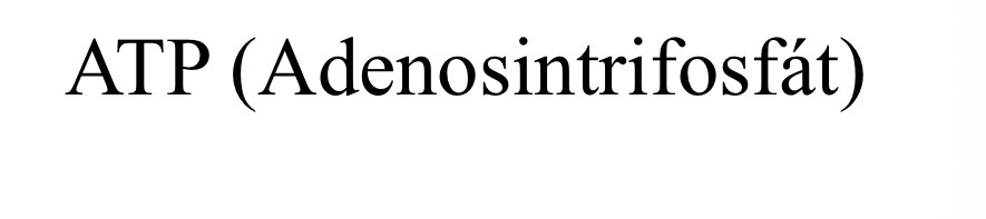 <p>ATP</p>