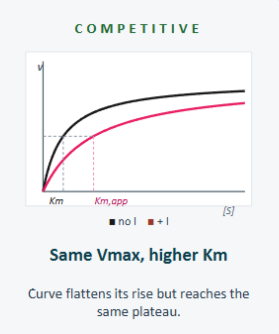 <p>Competitive inhibition</p><ul><li><p>Vmax = same</p></li><li><p>Km = increased</p></li></ul><p></p>