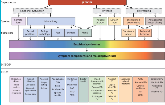 <p>organized by looking at the structure (latent patterns) of symptoms in the data</p><ul><li><p>group similar symptoms instead of creating many different categories</p></li><li><p>people can have any of the symptoms on a spectrum of severity</p></li></ul><p></p><p>Assumptions : </p><ul><li><p>psychopathology is best characterized as dimensional</p></li><li><p>natural organization of psychopathology can be discerned in co-occurence</p></li><li><p>psychopathology is better understood as varying in symptom</p><p>om presentation for each person than as distinct categories of symptoms</p></li></ul><p></p>