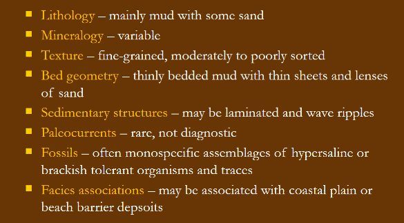 <p>Brackish, semi-enclosed body of water with connection to the open sea where fresh water is mixed with saline water. Most are transgressive (drowned river mouth) and temporary, as when water recedes again the area becomes a delta. Margins are often sand/mud flats</p>