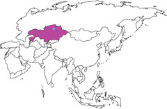 <p>central asian (muslim)</p>