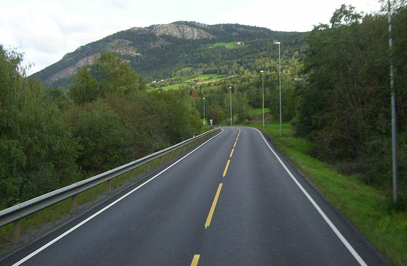 <p>đường chính</p>