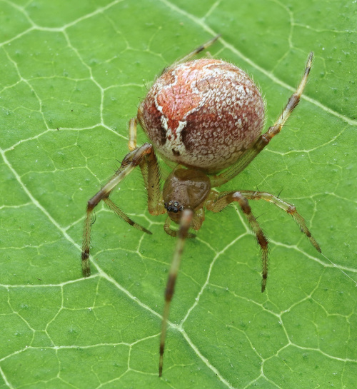 <p></p>