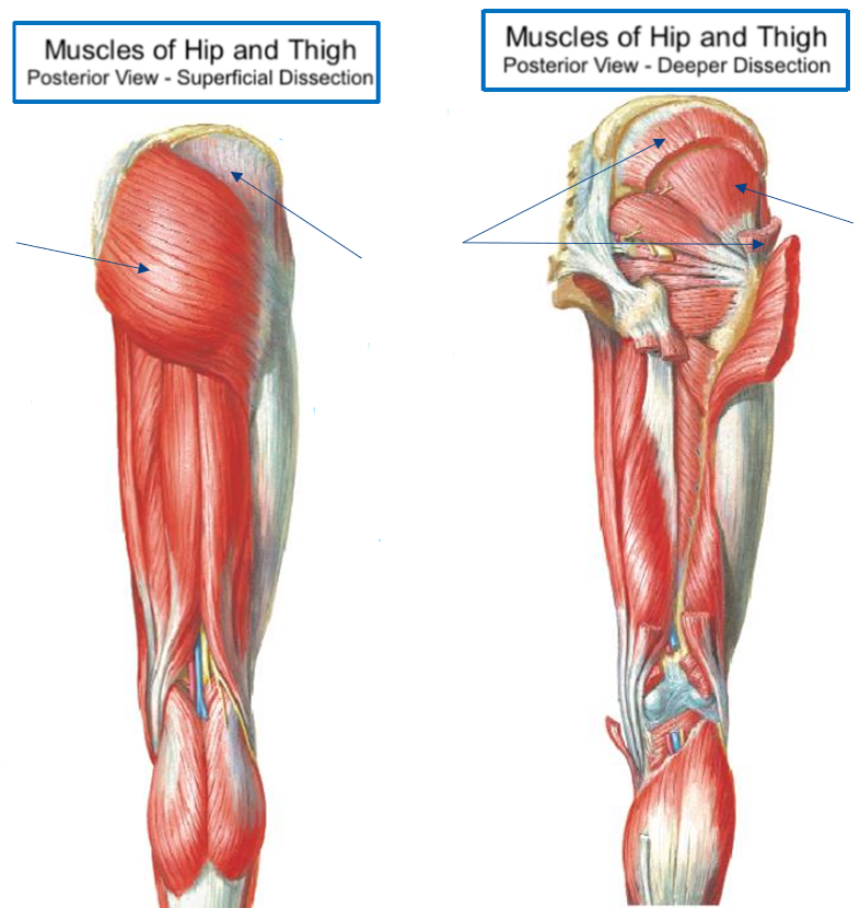 <p>Label the following diagram</p>