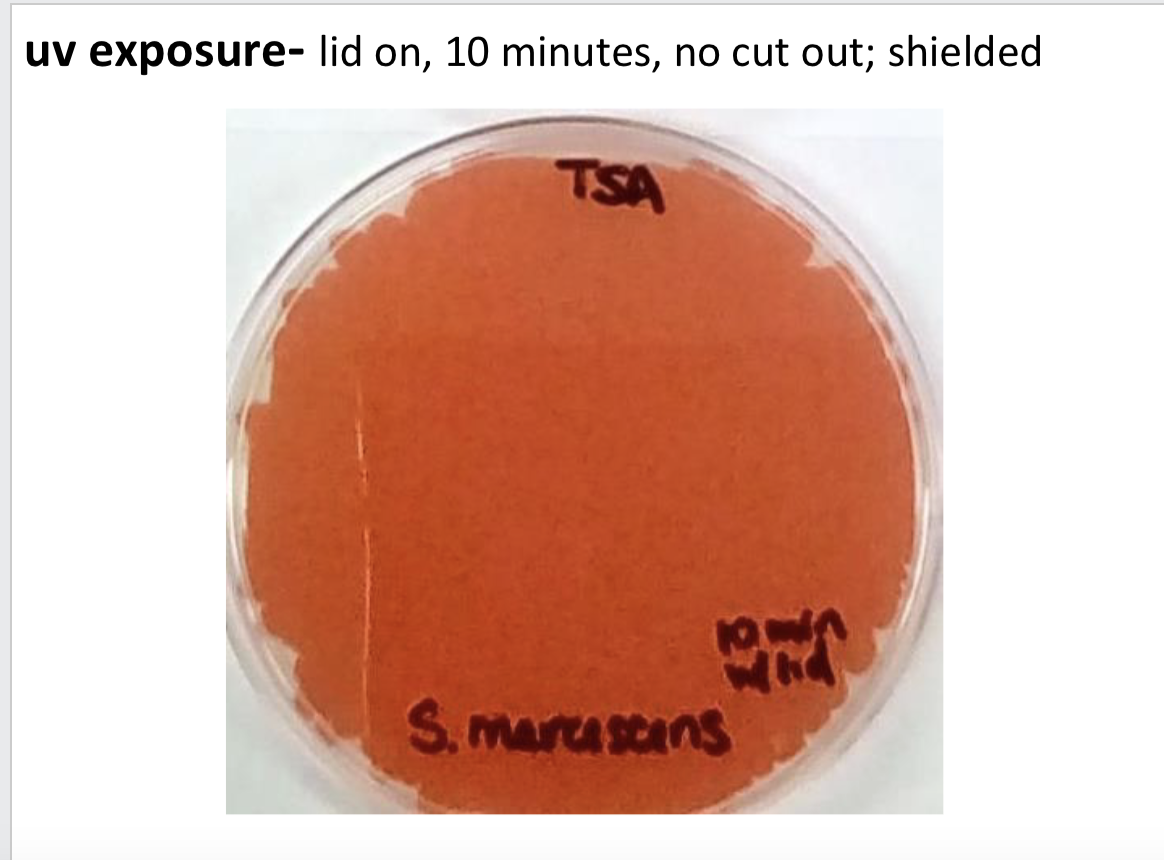 <p><span>3 factors determine effectiveness of uv treatments</span></p>