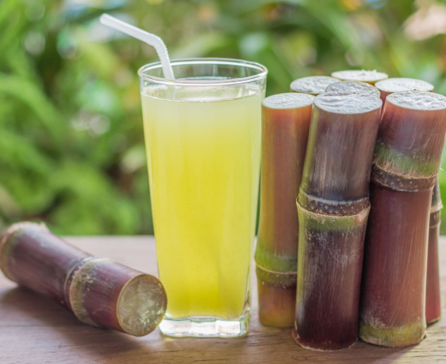 Sugarcane