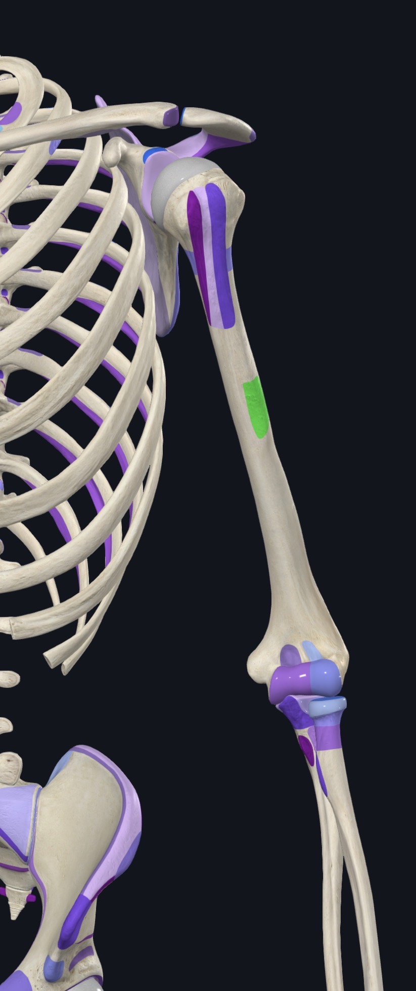 <p>what is this?</p>