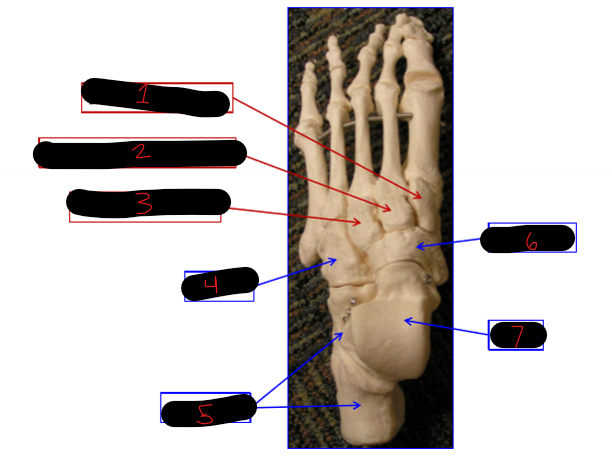 <p>3</p>