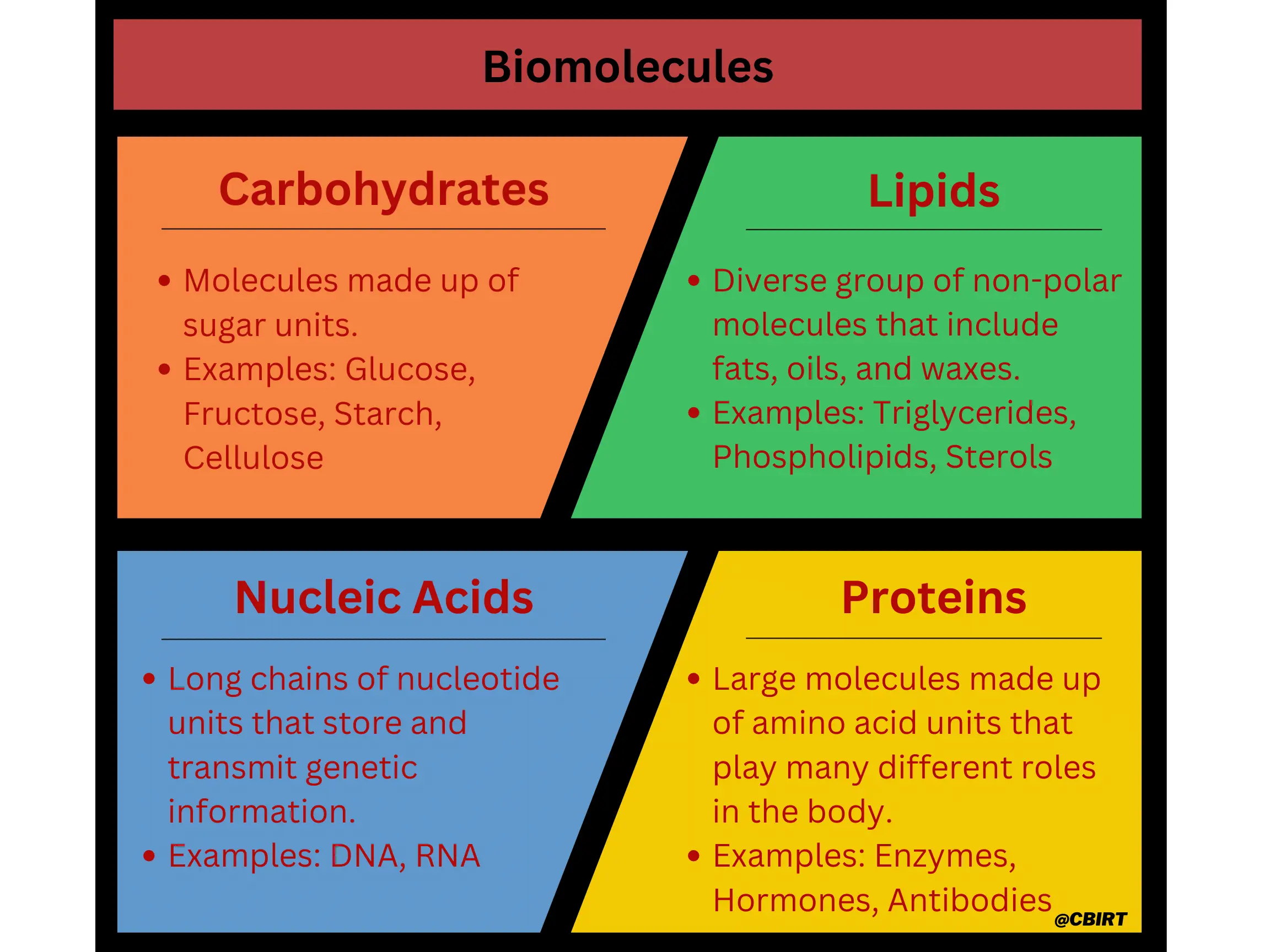 <p>Biomolecule</p>