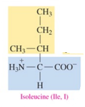 <p>nonpolar amino acid with alkyl as R group</p>