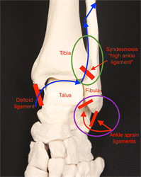 <p>What injury / condition? </p>