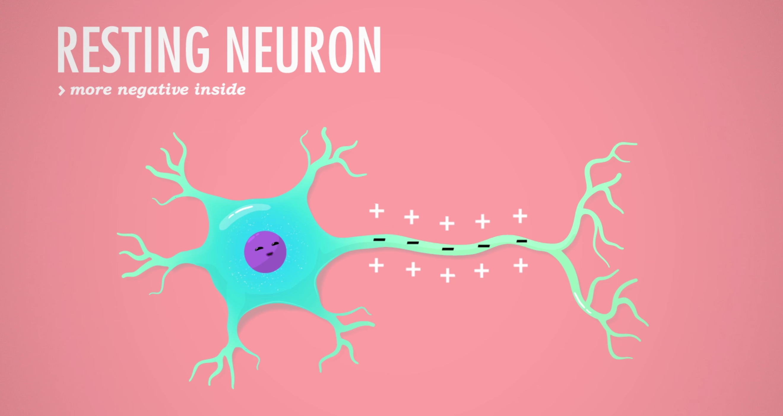 <p>The standard electrical charge of an inactive neuron, sitting at -70 mV.</p>