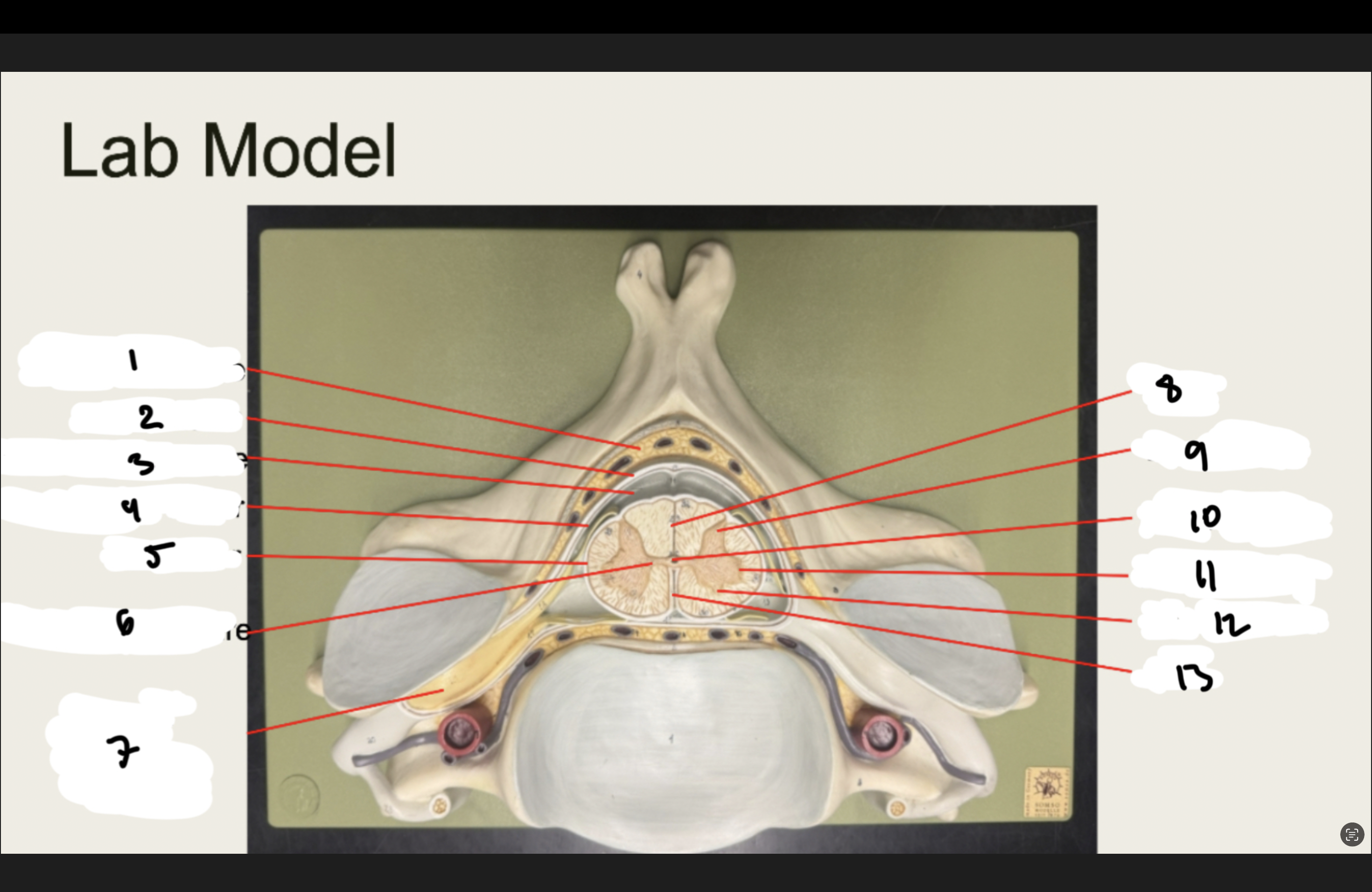 <p>1.XX</p><p>2.XX</p><p>3.XX</p><p>4.XX</p><p>5.XX</p><p>6.XX</p><p>7.XX</p><p>8.XX</p><p>9.XX</p><p>10.XX</p><p>11.XX</p><p>12.XX</p><p>13.XX</p>