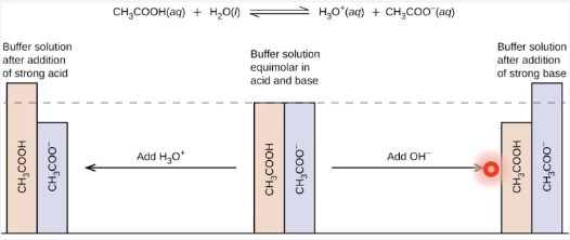 <p>consume small amounts of added OH- or H<sub>3</sub>O+ by shifting equilibrium position</p>