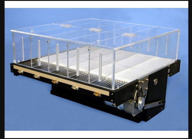 <p>treadmill</p>