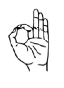 <p>What is this hand signal?</p>