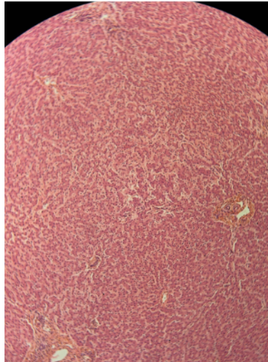 <p>What is this and what are some noteable features?</p>