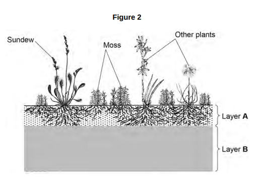 <ul><li><p>Peat bogs are estimated to contain twice as much carbon as all the world’s forests.</p></li><li><p><strong>Figure 2</strong> shows a section through part of a peat bog.</p></li><li><p>Layer A contains a lot of air.</p></li><li><p>Layer B: </p><ul><li><p>contains the dead remains of plants</p></li><li><p>has a low pH</p></li><li><p>contains very little oxygen</p></li><li><p>contains carbon dioxide and methane</p></li></ul></li></ul><p>Explain why most of the dead remains of plants in layer B do not decay. [3 marks]</p>