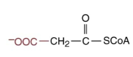 <p>Which primary building block is this </p>