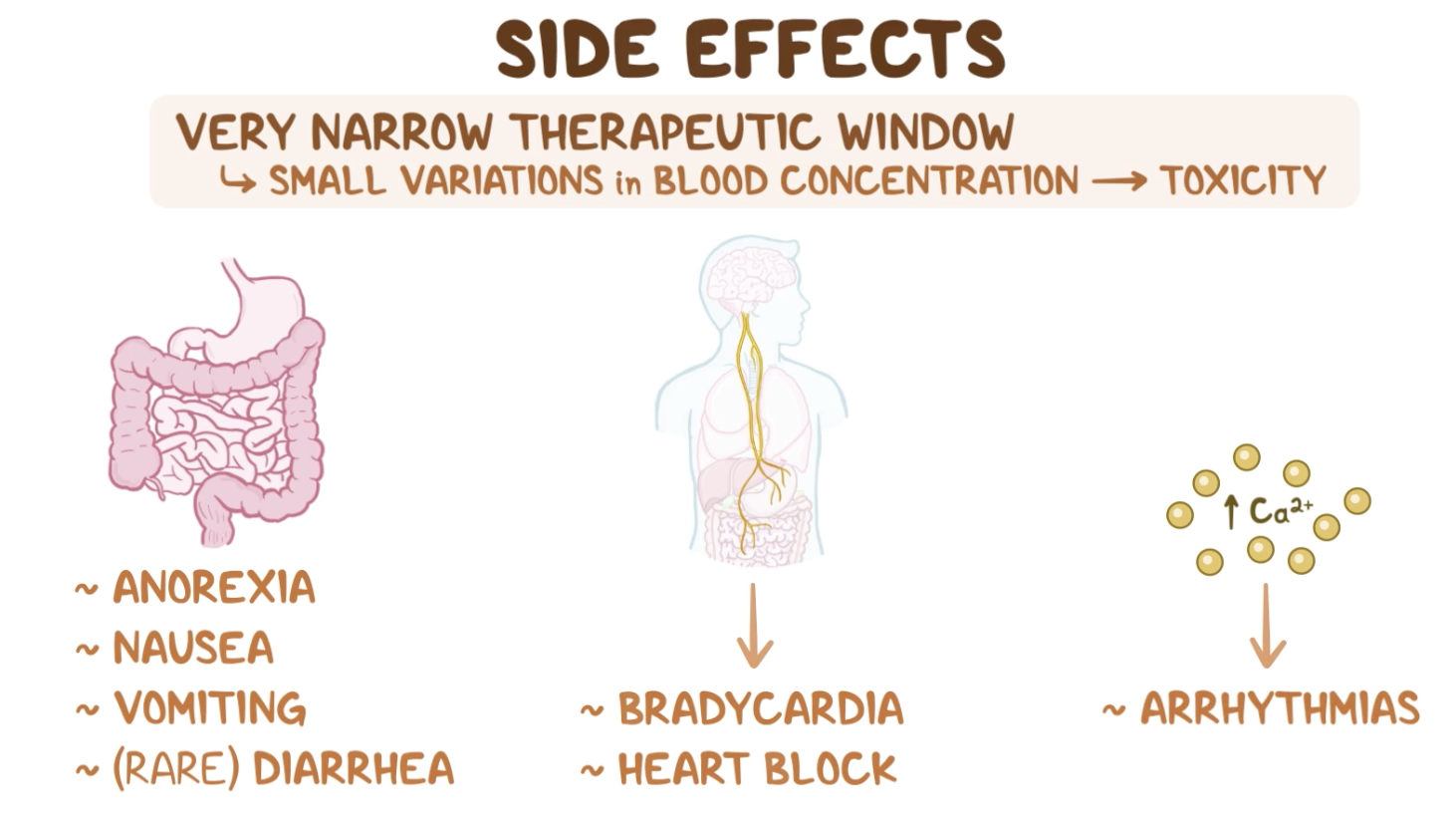 <ul><li><p>Most frequently seen: headache, weakness, drowsiness, and vision changes</p></li><li><p>GI upset and anorexia</p></li><li><p>Arrhythmias</p></li><li><p>Digoxin toxicity</p></li></ul><p></p>
