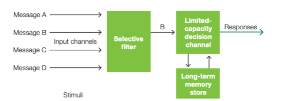 <p>Selective attention is limited; perceptual processing has a small capacity</p>