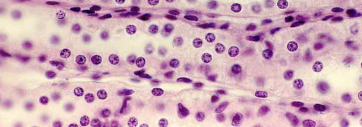 <p>What is this?</p>