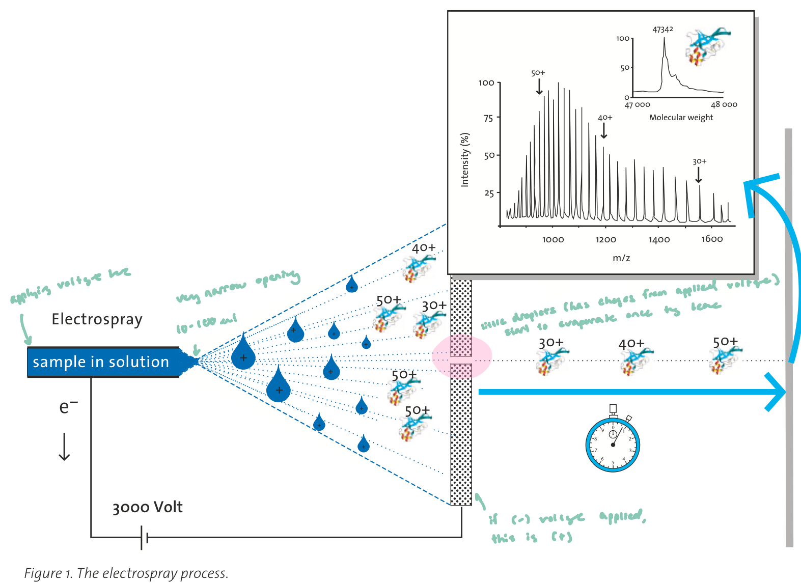 <ul><li><p>Developed Electrospray Ionization (ESI) for mass spectrometry; Solved the problem of analyzing large biomolecules (DNA, RNA, proteins)</p></li><li><p>concerts biomolecules from solution → gas phase gently, allowing intact mass spec analysis of large molecules </p></li></ul><p>Key challenge:</p><ul><li><p>Molecules must be in the gas phase for mass spectrometry</p></li><li><p>Traditional high-energy ionization would fragment large biomolecules</p></li></ul><p></p>