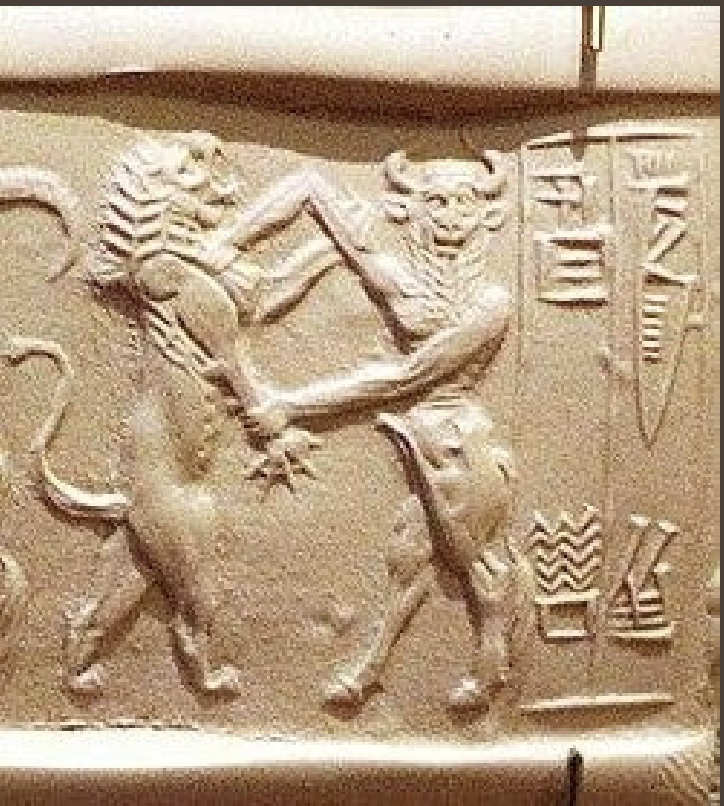 term image