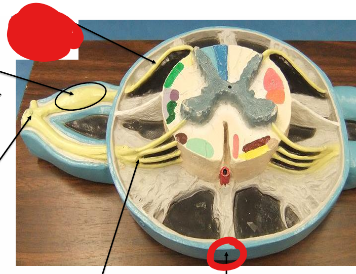 <p>What is this </p>