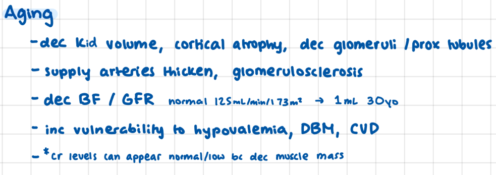 <p>factors associated with aging: dec kidney volume (atrophy), arterial thickening, dec BF / GFR</p><p>*Cr levels can appear low/normal bc dec muscle mass</p>