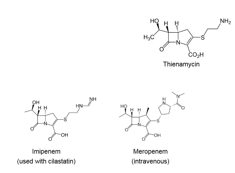 <p>β-lactam antibiotic - <span>Thienamycin</span></p><ul><li><p><span>Broad spec (G+ve and G-ve) and resistant to β-lactamase</span></p></li><li><p><span>Semi-synthetic carbapenems - Imipenem (sensitive to renal peptidase) Meropenem (resistant to renal peptidase)</span></p></li><li><p><span>Prescribed for multi-drug resistant in hospitals</span></p></li></ul><p></p>