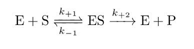 <p>the enzyme-substrate complex can either revert back into the substrate and enzyme or can go forward in the reaction</p>
