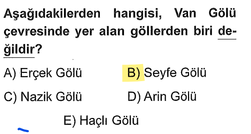 <p>Erçek, Nazik, Arin ve Haçlı gölleri Van Gölü'nün hemen çevresinde bulunan <strong>Volkanik Set</strong> gölleridir. Seyfe Gölü ise <strong>Kırşehir</strong>'de bulunan tektonik bir göldür.</p>