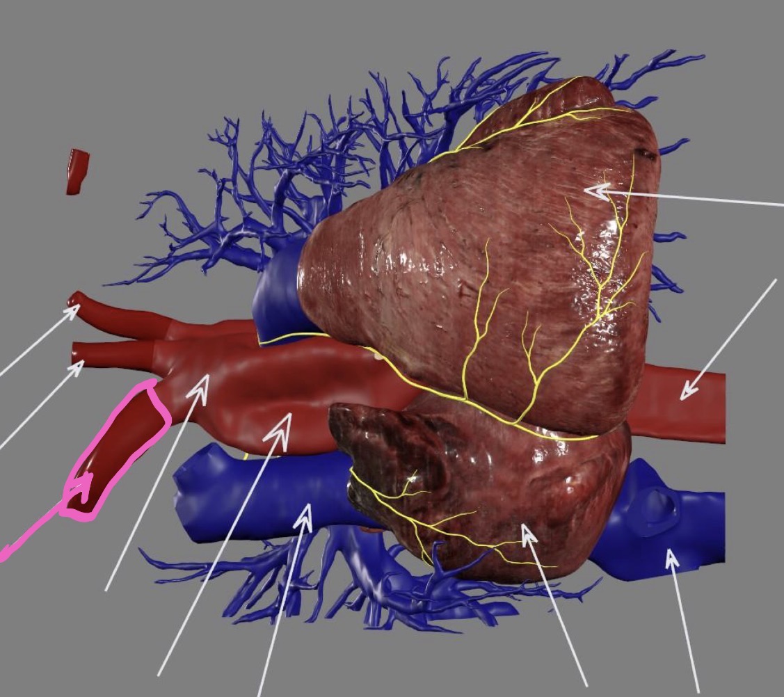 <p>What’s the highlighted area?</p>